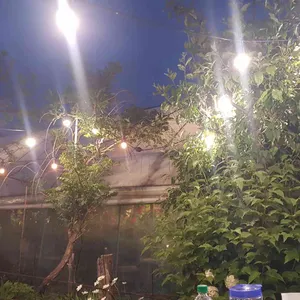 전미원 리뷰 사진
