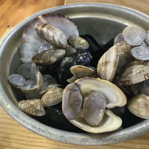 미애네칼국수 사진