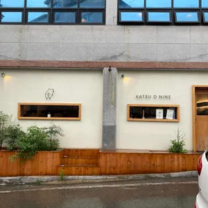 카츠디나인 리뷰 사진