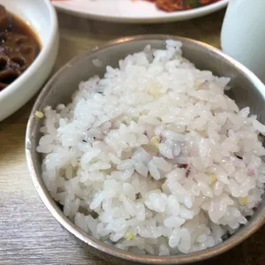 더미가 사진