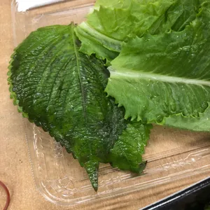 한솥도시락  사진