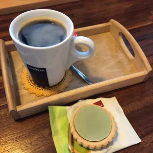 고망딱새 사진