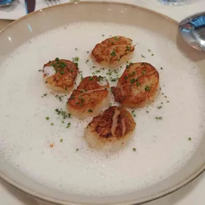 띠엘로 사진
