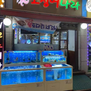 오징어나라  리뷰 사진