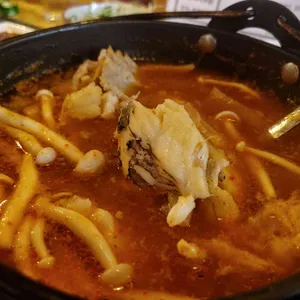 중림동 물고기 사진