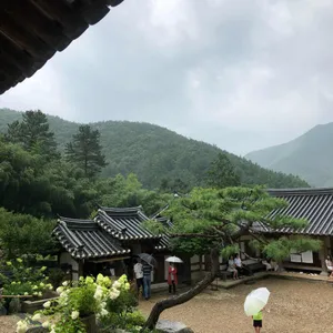 아원 리뷰 사진