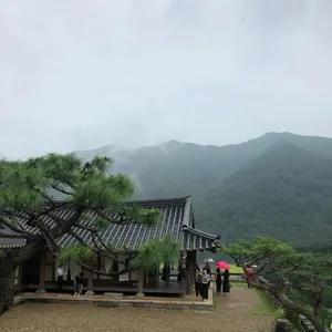 아원 리뷰 사진