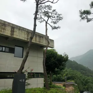 아원 리뷰 사진