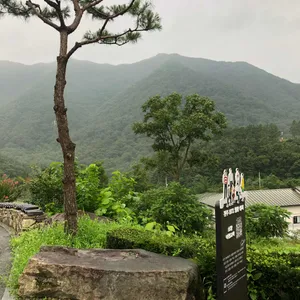 아원 리뷰 사진