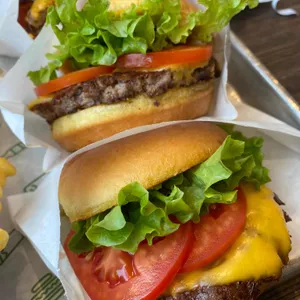 쉑쉑버거 리뷰 사진