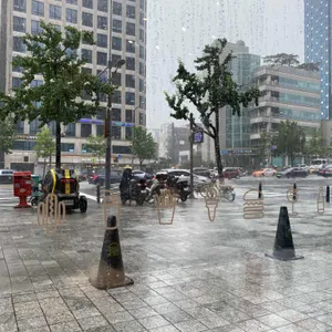 쉑쉑버거 리뷰 사진