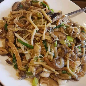 타오 사진