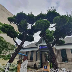 풍년제과 하정동커피 리뷰 사진