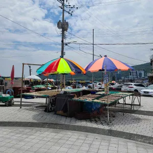 굳세어라금순아 리뷰 사진
