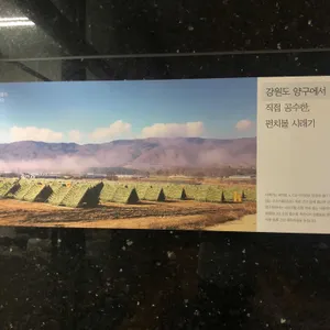 시래기 담다 리뷰 사진