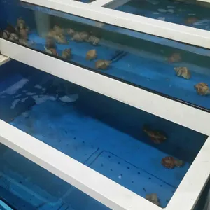 해물포장마차 리뷰 사진
