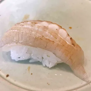 스시 윤 사진