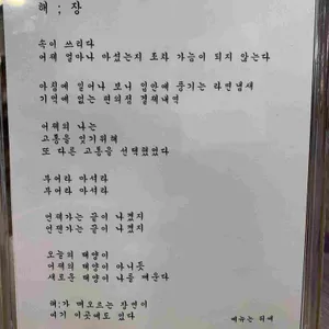 도락 리뷰 사진