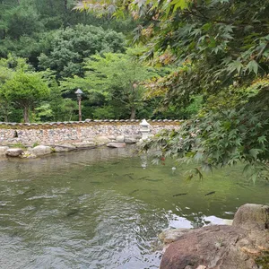 구천동송어마을 리뷰 사진