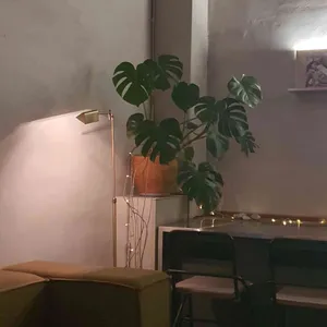 아끼 리뷰 사진