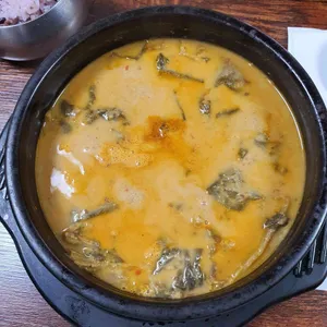 본초강목 사진