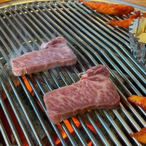 화수목 사진