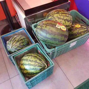쥬씨 사진