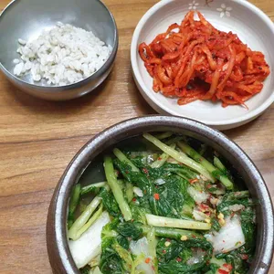 토지옹심이 사진