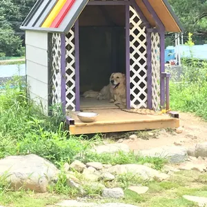 폴몬트 리뷰 사진