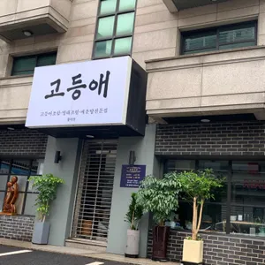 고등애 리뷰 사진