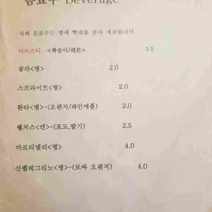러스틱 컴포트 리뷰 사진