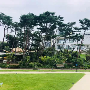 카포레 리뷰 사진