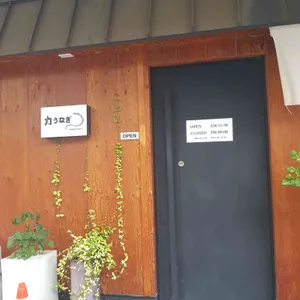 치카라우나기 리뷰 사진