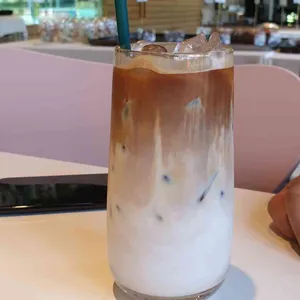 포레스트 사진