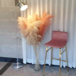 포레스트 리뷰 사진