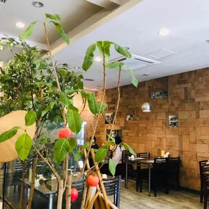 하롱베이 리뷰 사진