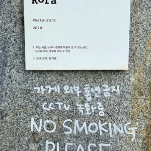 로라 리뷰 사진