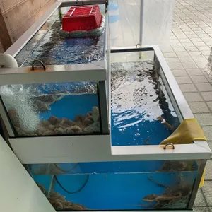 착한낙지 리뷰 사진