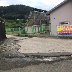 할매묵집 리뷰 사진