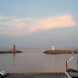 카페동백 리뷰 사진