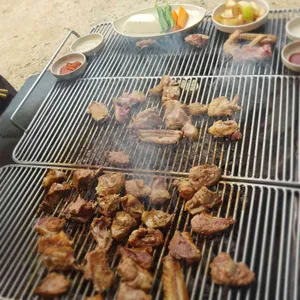 불타는오리 사진