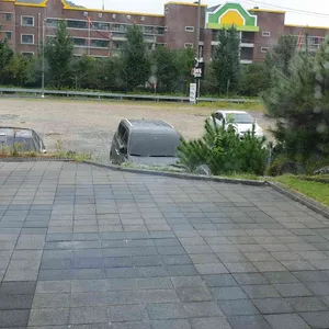 향촌흑염소가든 리뷰 사진