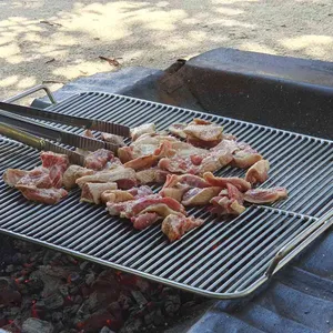 불타는오리 사진