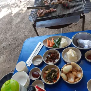 불타는오리 사진