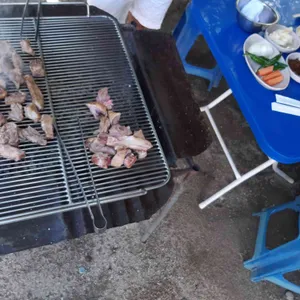 불타는오리 사진