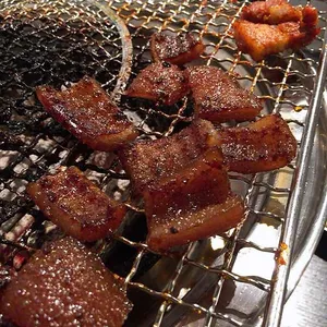 국민돼지 사진