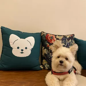 코코다방 리뷰 사진