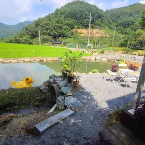 감천정원 리뷰 사진