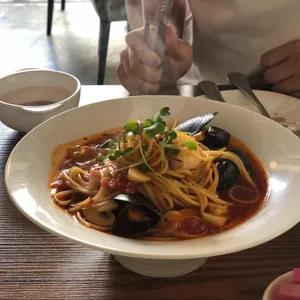 베네쿠치 사진