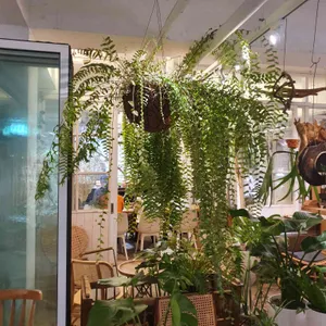 보타미 리뷰 사진